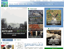 Tablet Screenshot of animalworld.com.ua